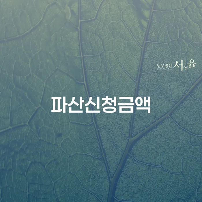 개인신용회복제도 빚갚는 방법 중요 포인트