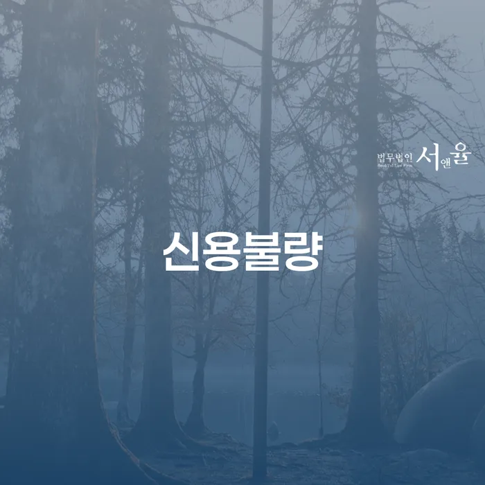 개인회생카드 개인회생으로 방법 장점을