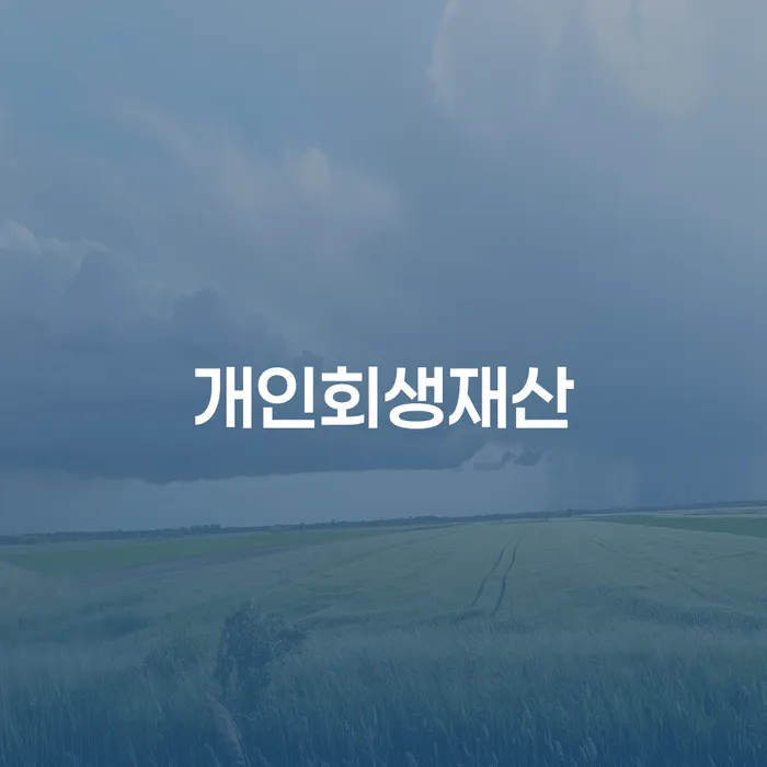 세금파산 채무조정제도을 이용하여 정해지는