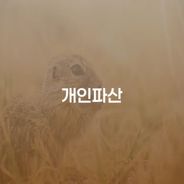 개인회생장점 개인회생 잘 하는 곳
