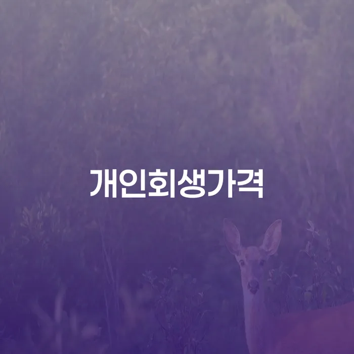 신용불량자회복 개인회생으로 해결 확실한 진행