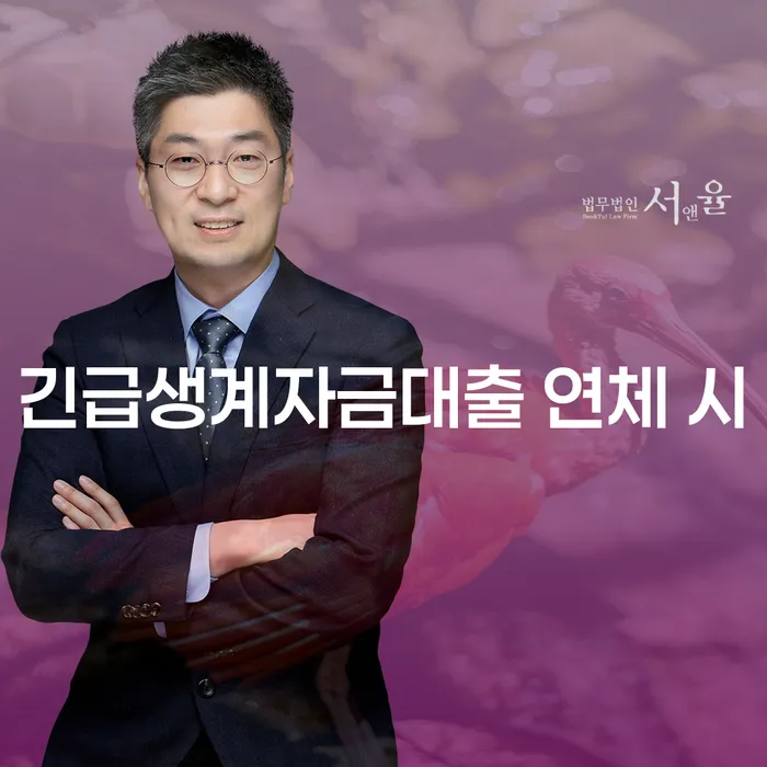 가족명의대출 연체 시 채무 효과적인 해결방법 적정한