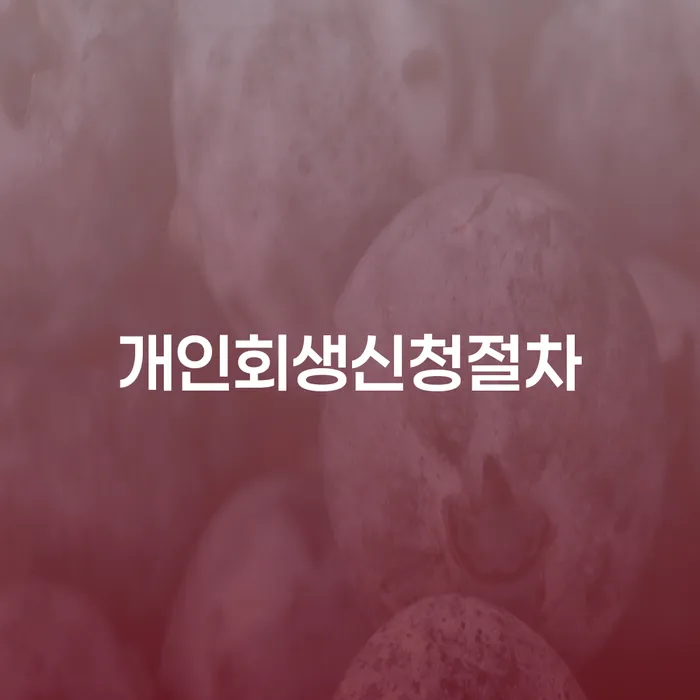 원주시 파산이란 채무조정제도을 이용하여 체크리스트