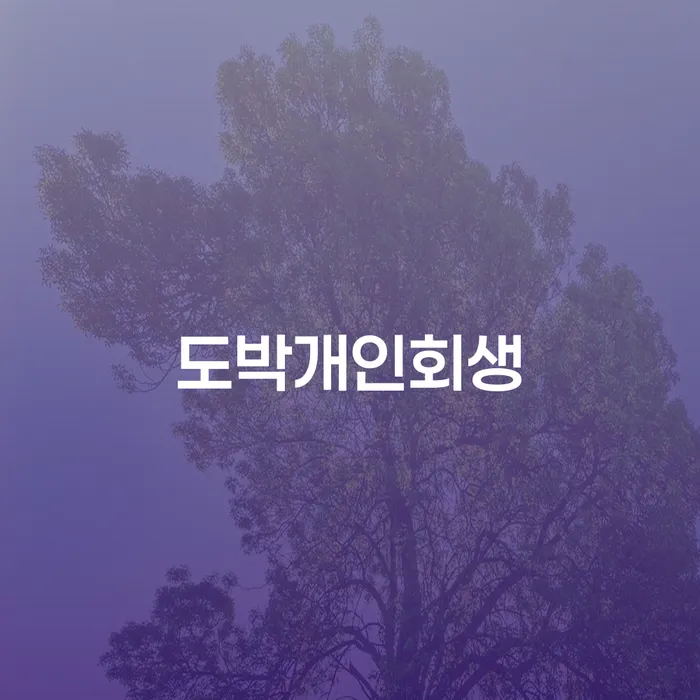 함평군 학자금대출개인회생 개인회생 제도 잘 하는 사무소