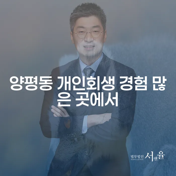 양평동 개인회생 경험 많은 곳에서
