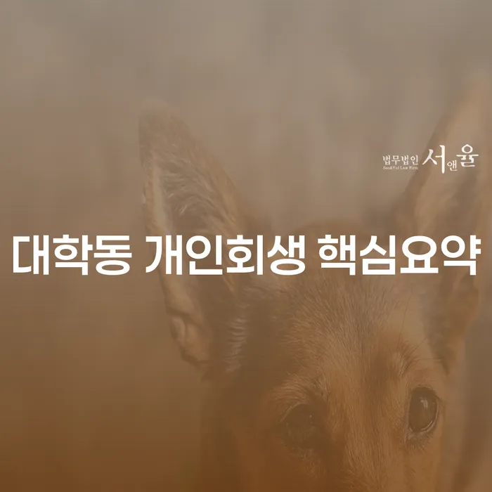대학동 개인회생 핵심요약