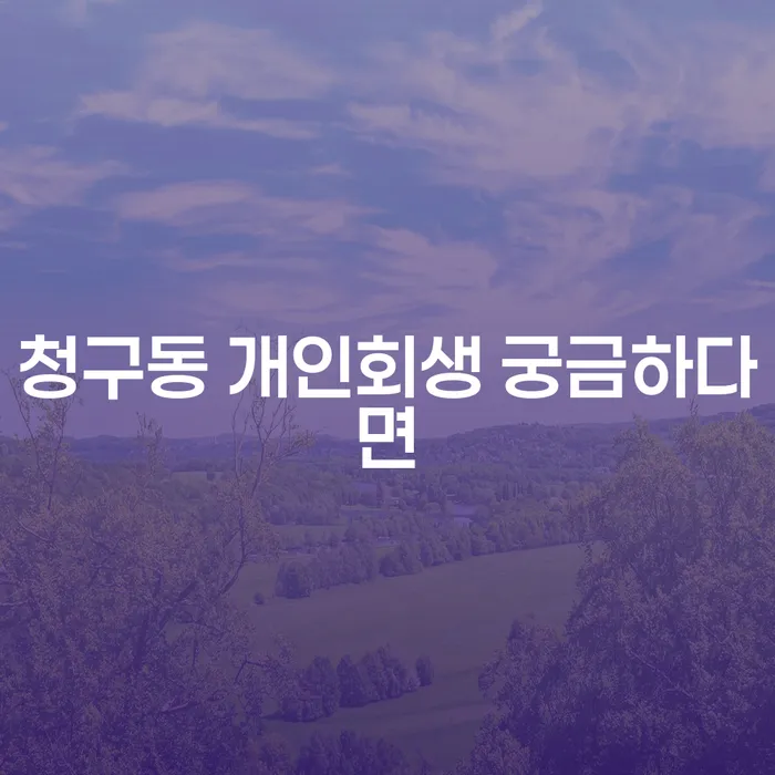 청구동 개인회생 궁금하다면