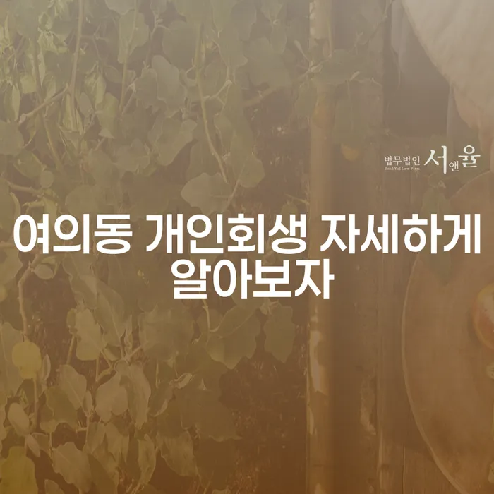 여의동 개인회생 자세하게 알아보자