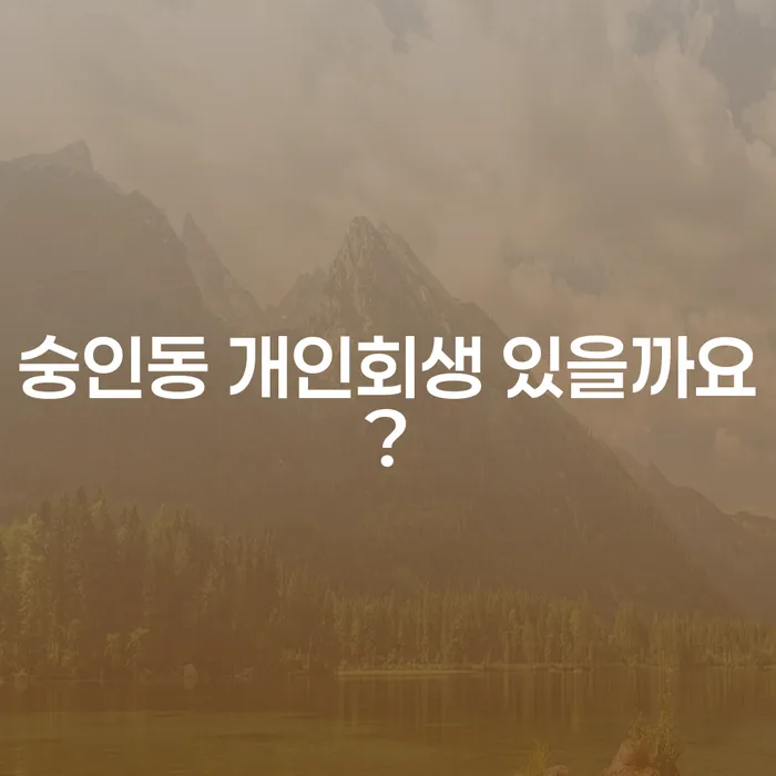 숭인동 개인회생 있을까요?