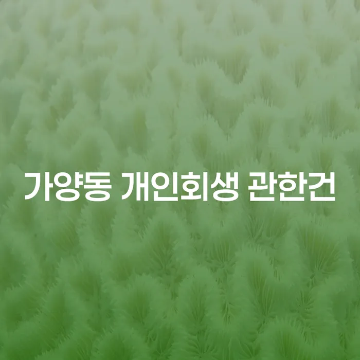 가양동 개인회생 관한건