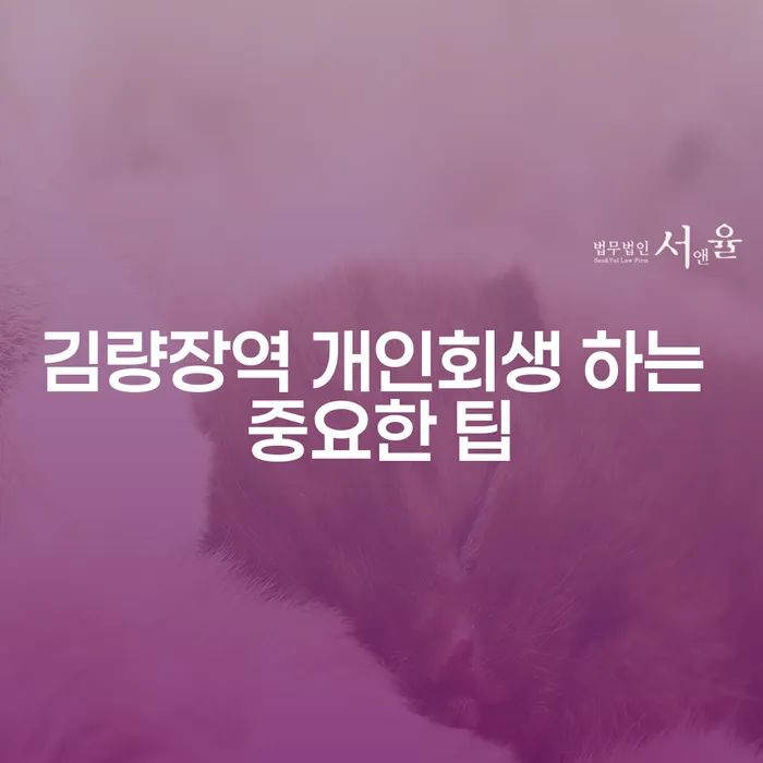 김량장역 개인회생 하는 중요한 팁