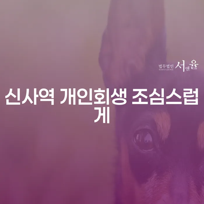 신사역 개인회생 조심스럽게