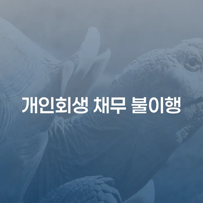 개인회생 채무 불이행 상황에서 어떻게 대처해야 할까요?