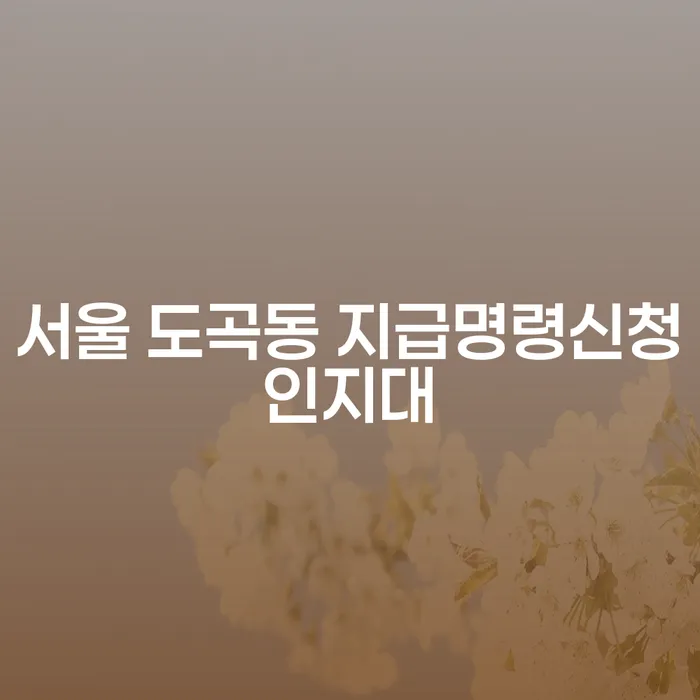 서울 도곡동 지급명령신청인지대는 어떻게 계산할까요?