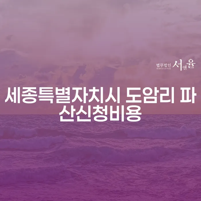 세종특별자치시 도암리에서 파산신청비용을 줄이는 방법은?