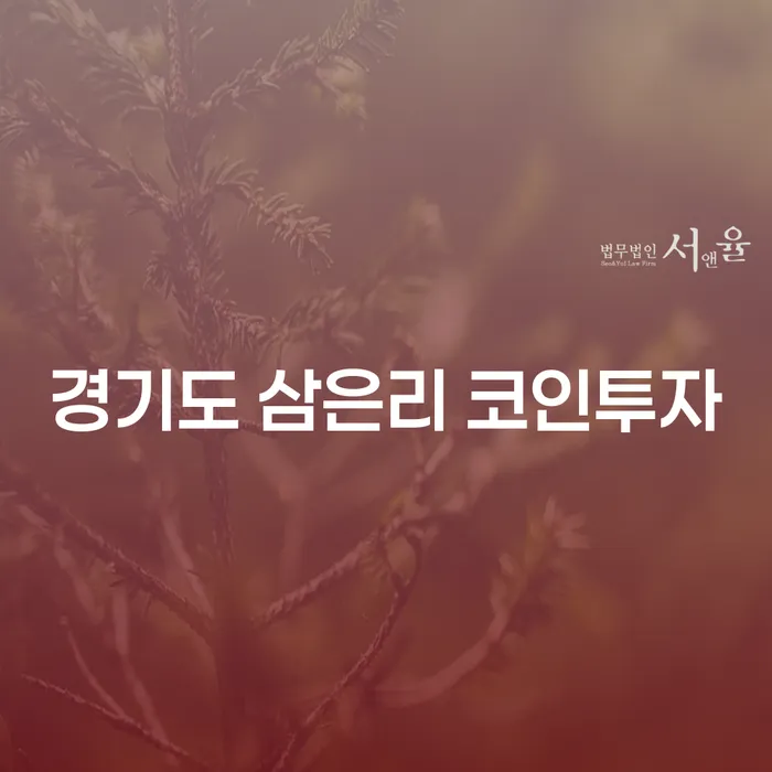 경기도 삼은리 코인투자, 실패 후 개인회생을 고려해야 하는 이유는?